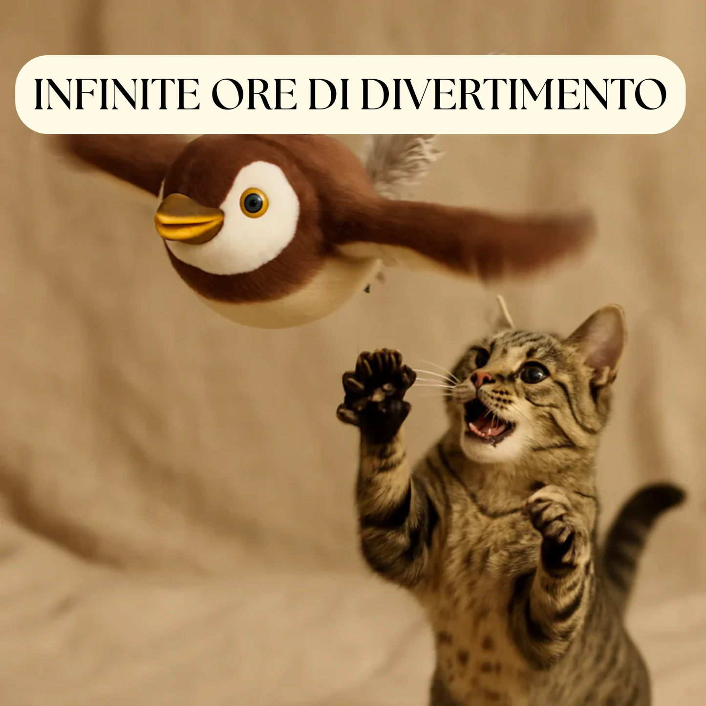 VolAmico - Gioco per gatti