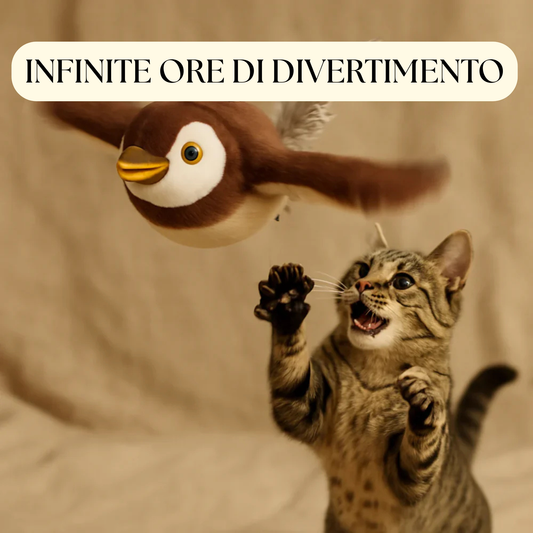 VolAmico - Gioco per gatti