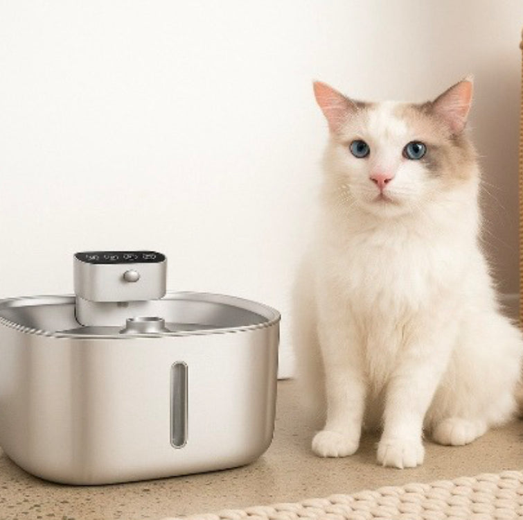 Acquapet - Fontana Wireless