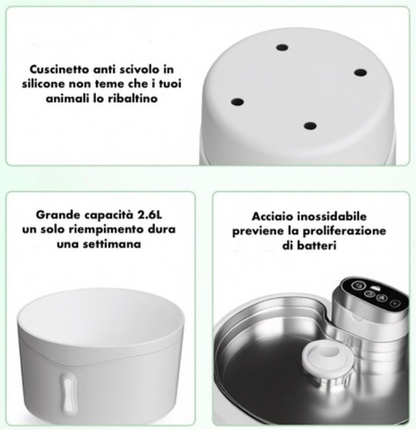 Acquapet - Fontana Wireless