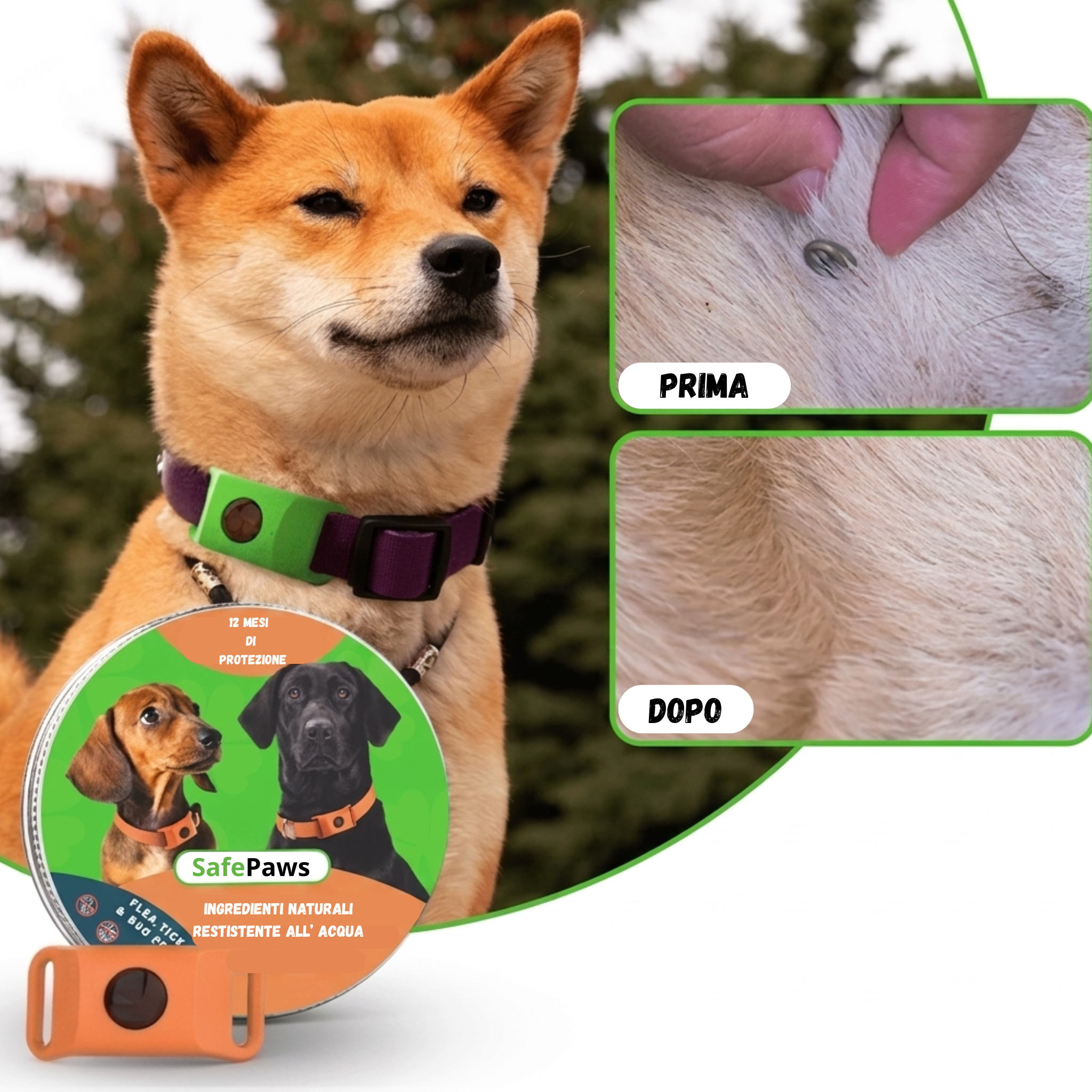 SafePaws - anti zecche  naturale per cani e gatti